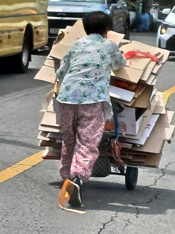 폭염경보가 발효중인 20일 경산시의 낮 기온이 33도로 체감온도는 36도를 웃돌아 경산시는 야외활동 자제와 폭염안전수칙을 지킬 것을 권고했다. 이런 살인적인 폭염속에서 폐지 수집에 나선  어르신이 힘들게 손수레에 폐지를 싣고 이동하고 있다. 김영곤 기자